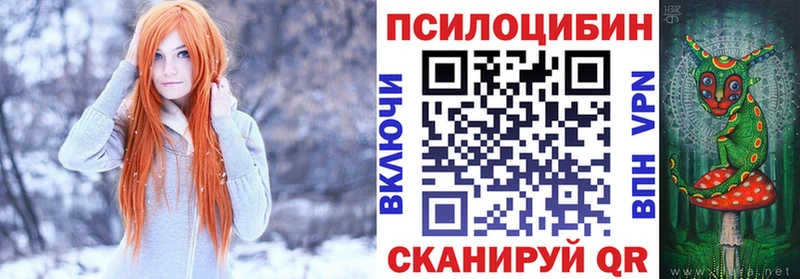 Псилоцибиновые грибы GOLDEN TEACHER  купить наркотики цена  Андреаполь 